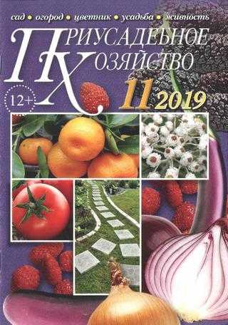 Приусадебное хозяйство №11 ноябрь 2019