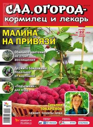 Сад огород кормилец и лекарь №22 ноябрь 2019
