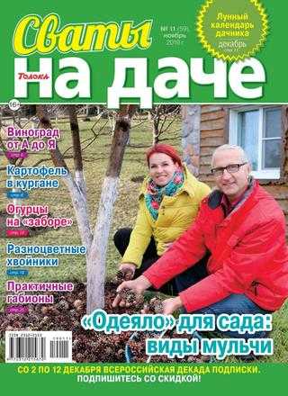 Сваты На даче №11 ноябрь 2019