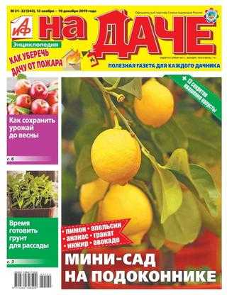 АиФ На даче №21 ноябрь-декабрь 2019