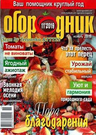 Огородник №11 ноябрь 2019