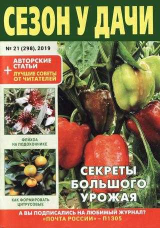 Сезон у дачи №21 ноябрь 2019