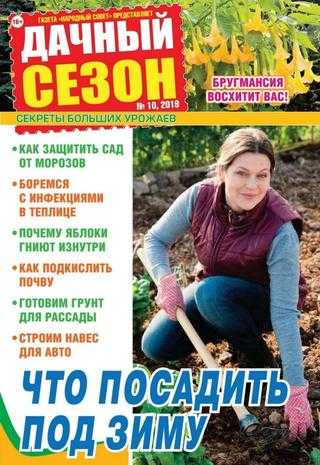 Дачный сезон №10 октябрь 2019