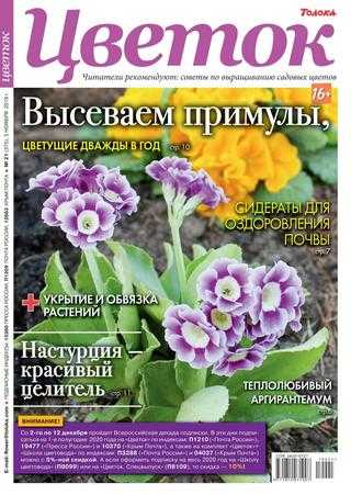 Цветок №21 ноябрь 2019
