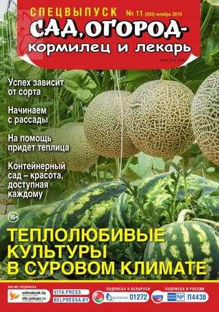Сад огород кормилец и лекарь Спецвыпуск №11 ноябрь 2019