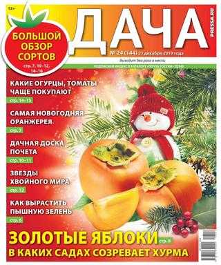Дача №24 декабрь 2019