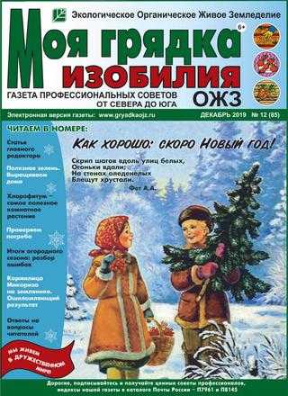 Моя грядка изобилия №12 декабрь 2019