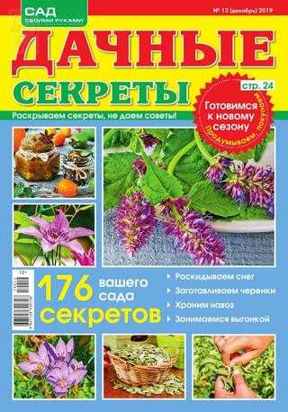 Дачные Секреты №12 декабрь 2019