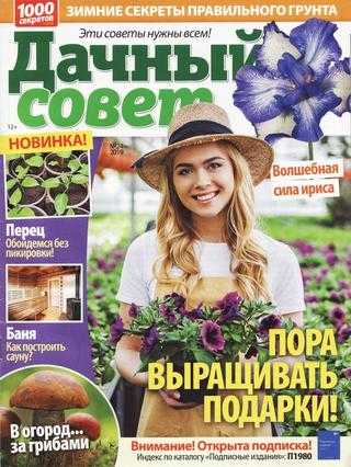 Дачный совет №24 декабрь 2019