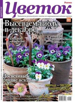 Цветок №23 декабрь 2019