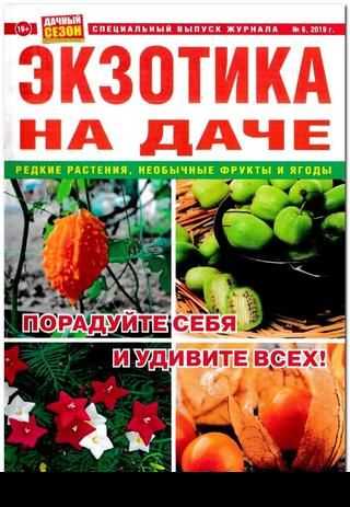 Дачный сезон Спецвыпуск №6