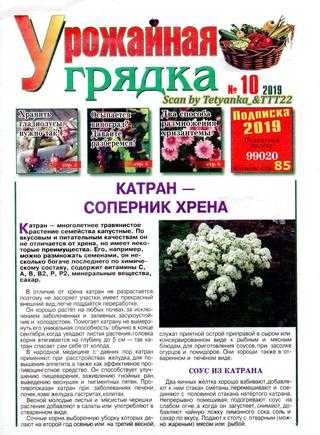 Урожайная грядка №10 октябрь 2019