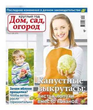 Круглый год Дом сад огород №20 2019