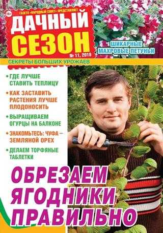 Дачный сезон №11 ноябрь 2019