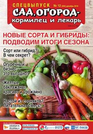Сад огород кормилец и лекарь Спецвыпуск №12 декабрь 2019