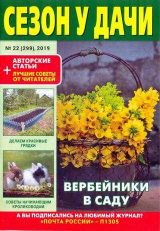 Сезон у дачи №22, ноябрь 2019