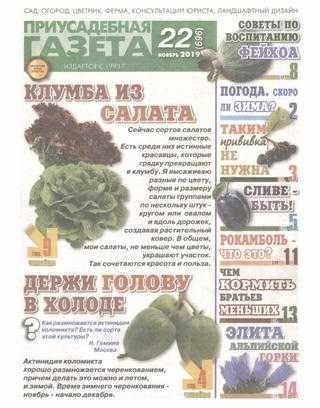Приусадебная газета №22 ноябрь 2019