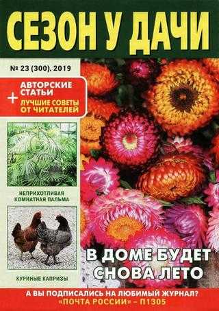 Сезон у дачи №23 декабрь 2019