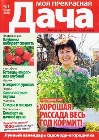 Моя прекрасная дача №1 январь 2020