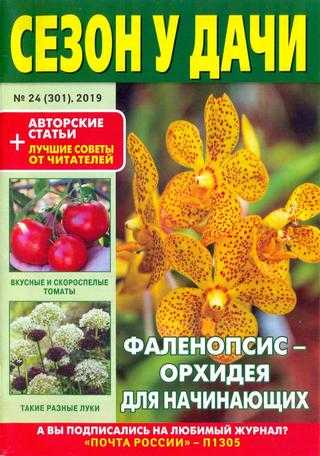 Сезон у дачи №24 декабрь 2019