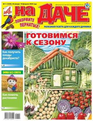 АиФ На даче №1-2 январь-февраль 2020