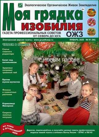 Моя грядка изобилия №1 январь 2020