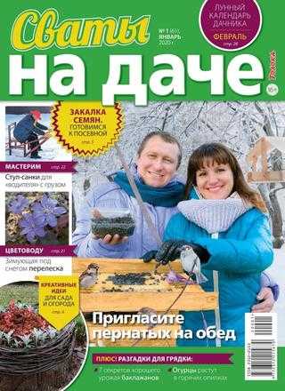 Сваты На даче №1 январь 2020