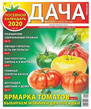 Дача №1 январь 2020