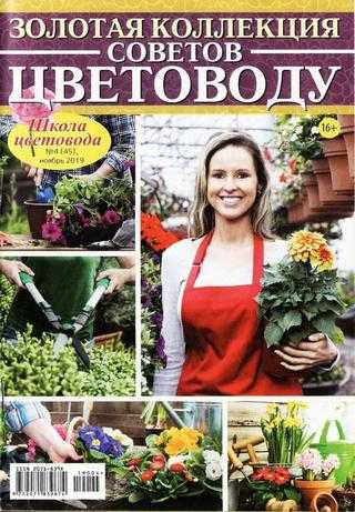 Школа цветовода №4 ноябрь 2019