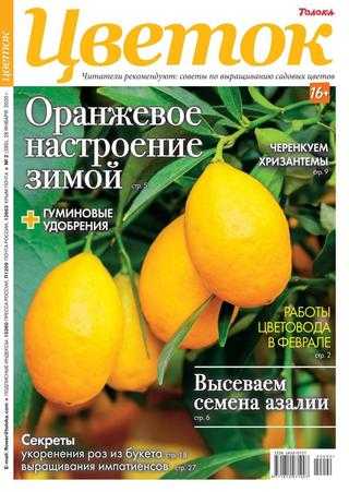 Цветок №2 январь 2020