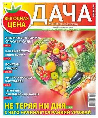 Дача №2 январь 2020