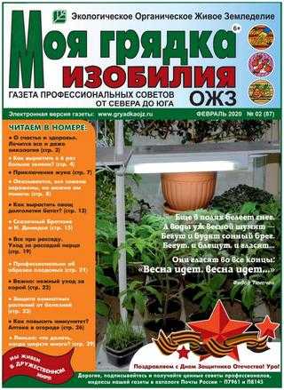 Моя грядка изобилия №2 февраль 2020