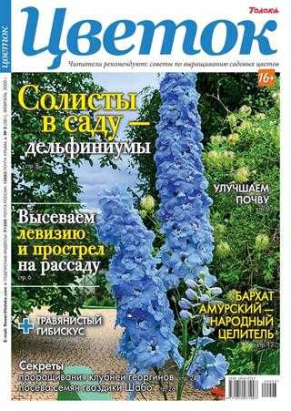 Цветок №3 февраль 2020