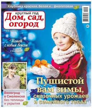 Круглый год Дом сад огород №26 2019