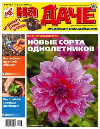 АиФ На даче №3 февраль 2020
