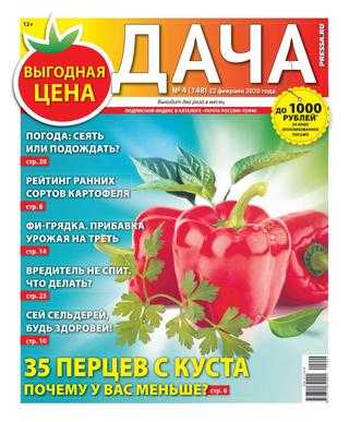 Дача №4 февраль 2020