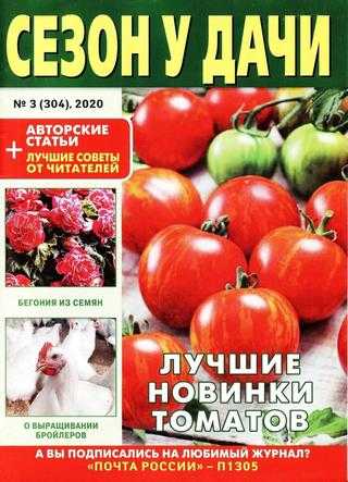 Сезон у дачи №3 февраль 2020