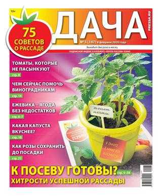 Дача №3 февраль 2020