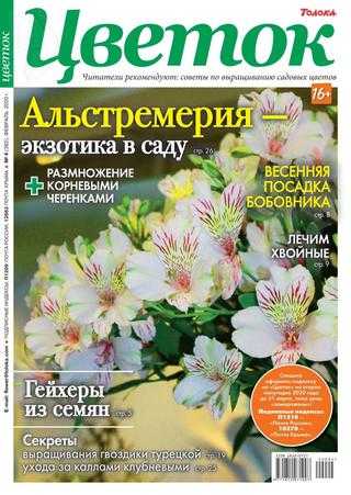 Цветок №4 февраль 2020