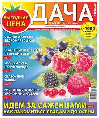 Дача №6 март 2020