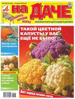 АиФ на даче №6 март-апрель 2020