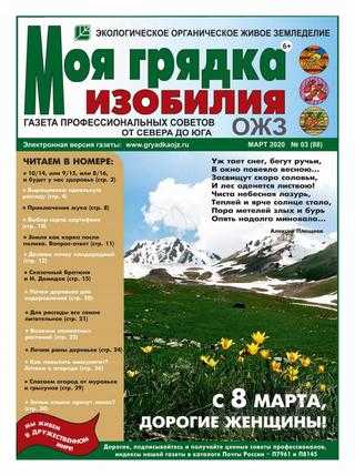 Моя грядка изобилия №3 март 2020