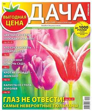 Дача №5 март 2020