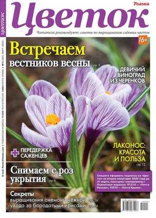 Цветок №5 март 2020