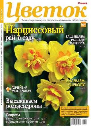 Цветок №6 март 2020