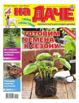 АиФ На даче №4 февраль-март 2020