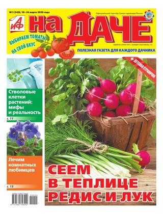 АиФ На даче №5 март 2020
