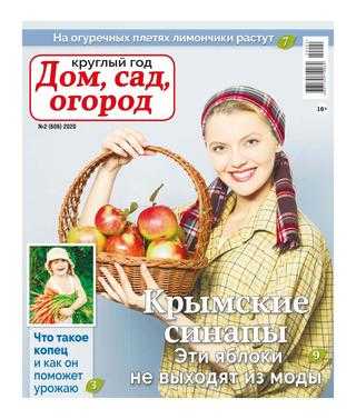 Круглый год Дом сад огород №2 2020