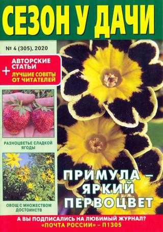 Сезон у дачи №4 февраль 2020