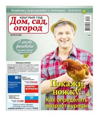 Круглый год Дом сад огород №9 2020